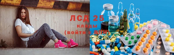 стаф Белокуриха