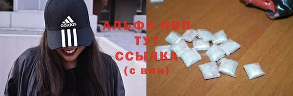стаф Белокуриха