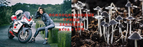 дмт Белоозёрский
