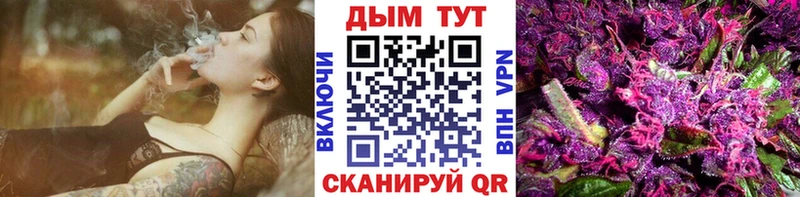 Каннабис сатива Сланцы